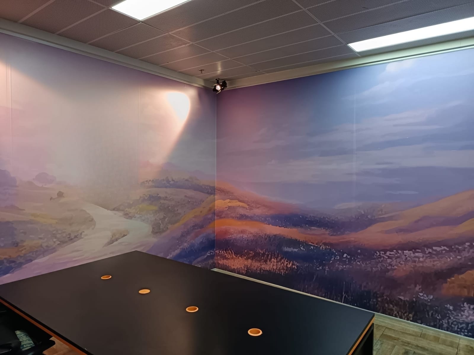Interior Partitions project 8